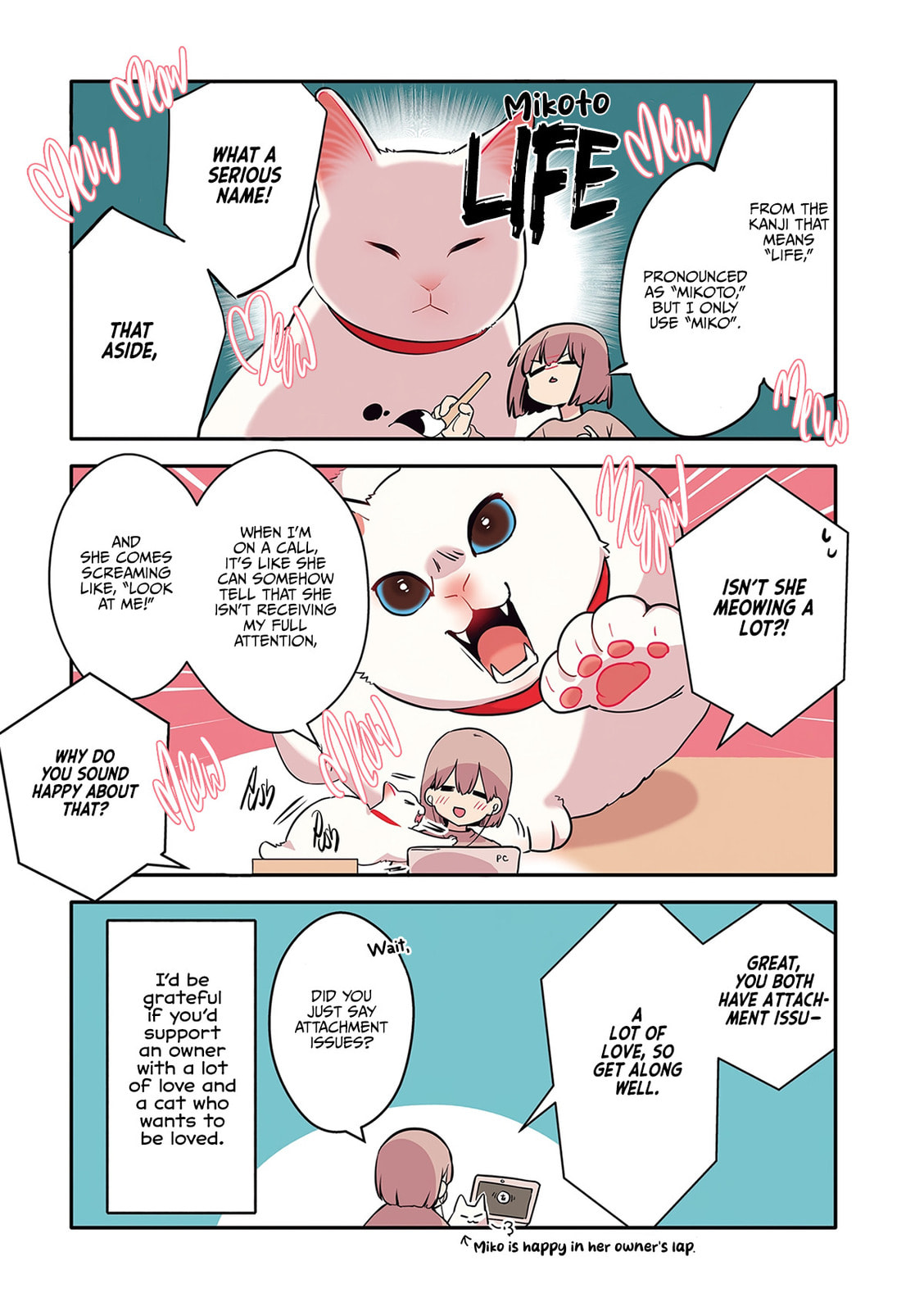 Miko, A White Cat That Wants To Be Loved