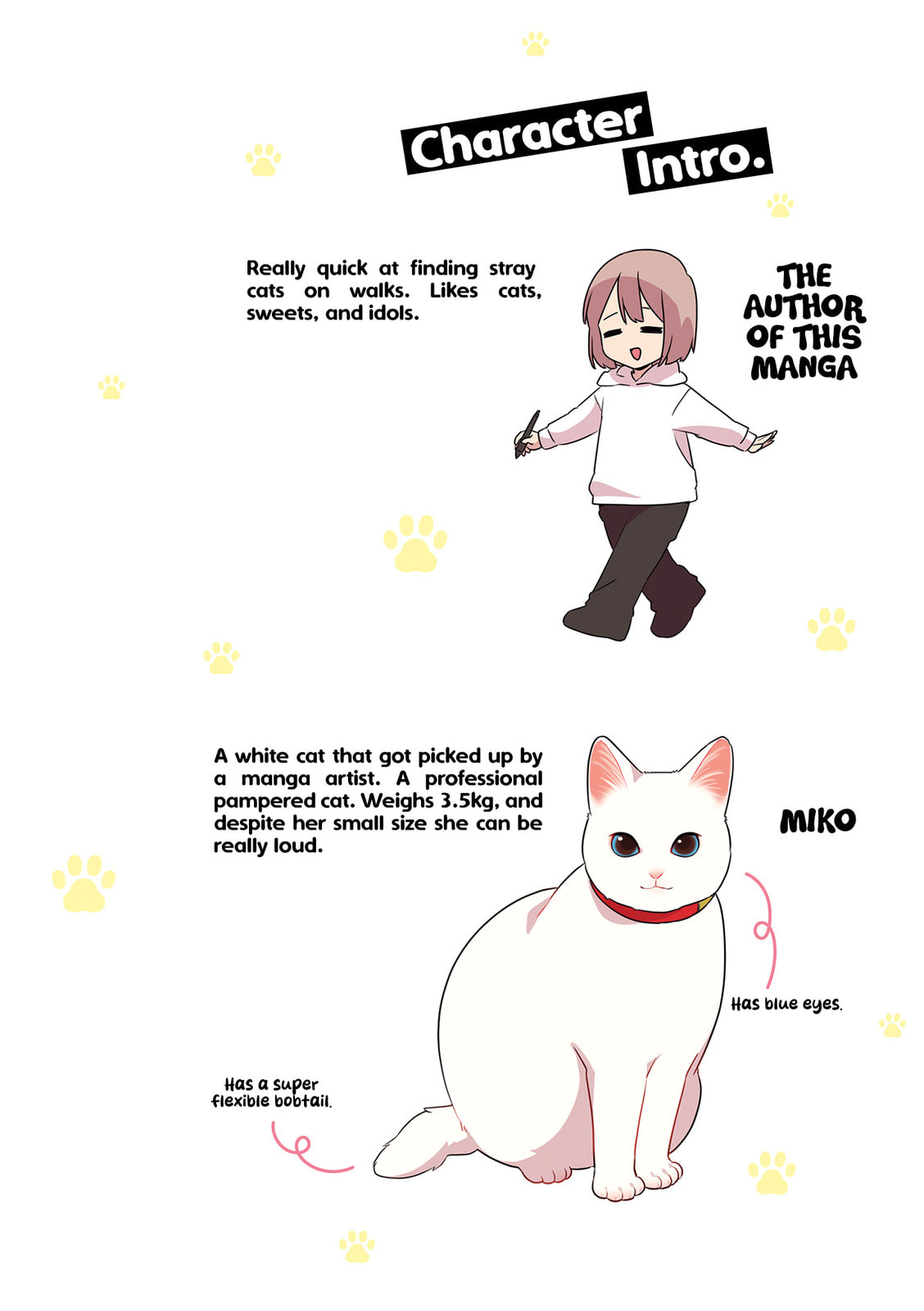 Miko, A White Cat That Wants To Be Loved