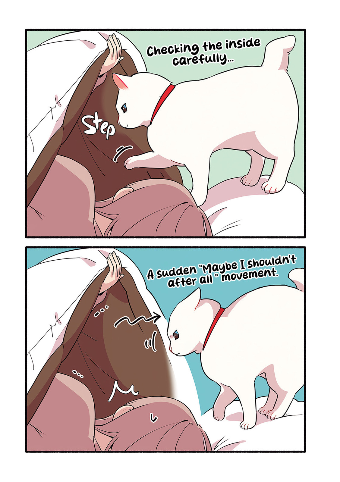 Miko, A White Cat That Wants To Be Loved