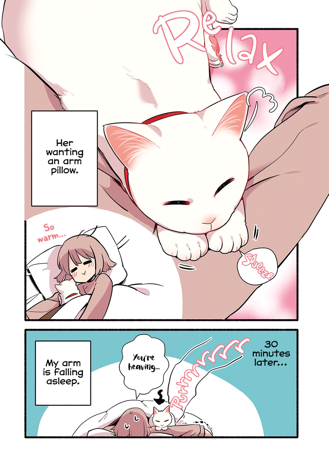 Miko, A White Cat That Wants To Be Loved