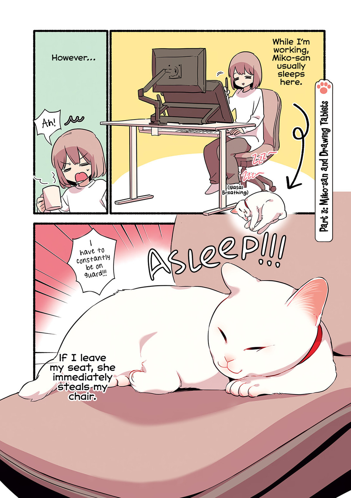 Miko, A White Cat That Wants To Be Loved