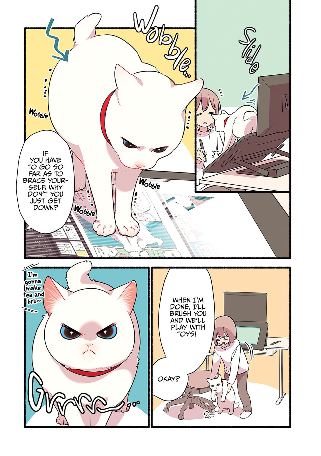 Miko, A White Cat That Wants To Be Loved