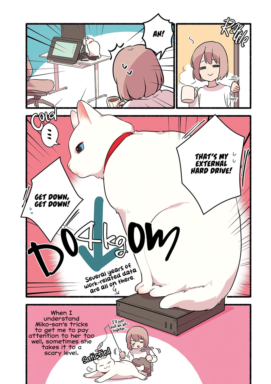 Miko, A White Cat That Wants To Be Loved