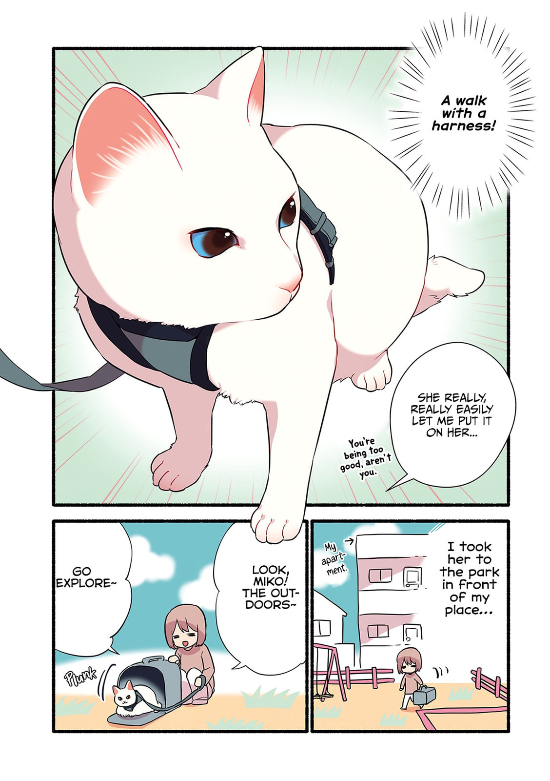 Miko, A White Cat That Wants To Be Loved