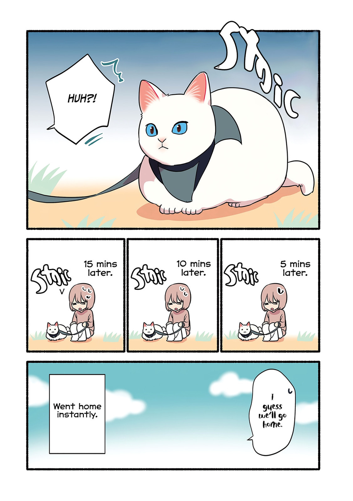 Miko, A White Cat That Wants To Be Loved