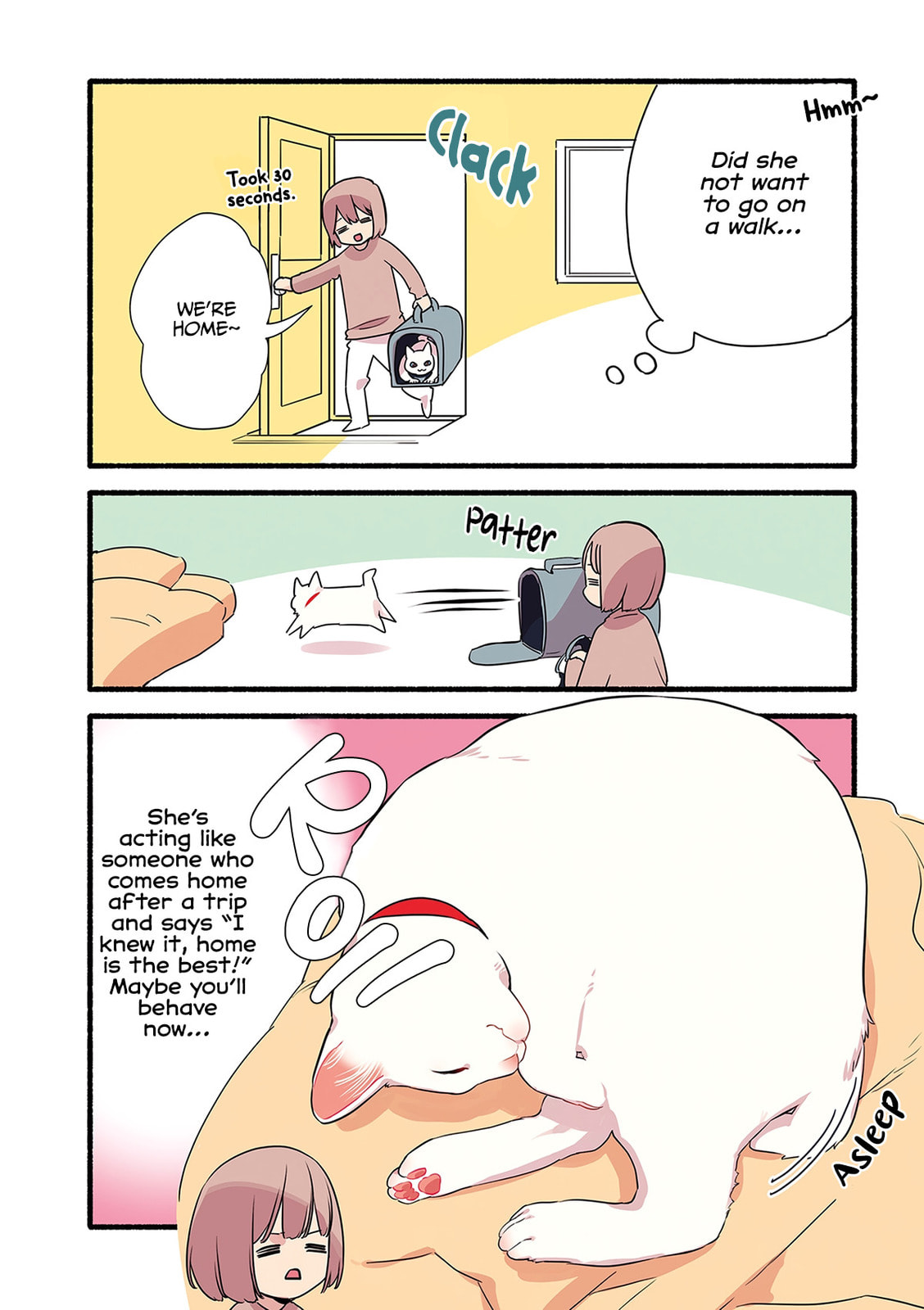 Miko, A White Cat That Wants To Be Loved