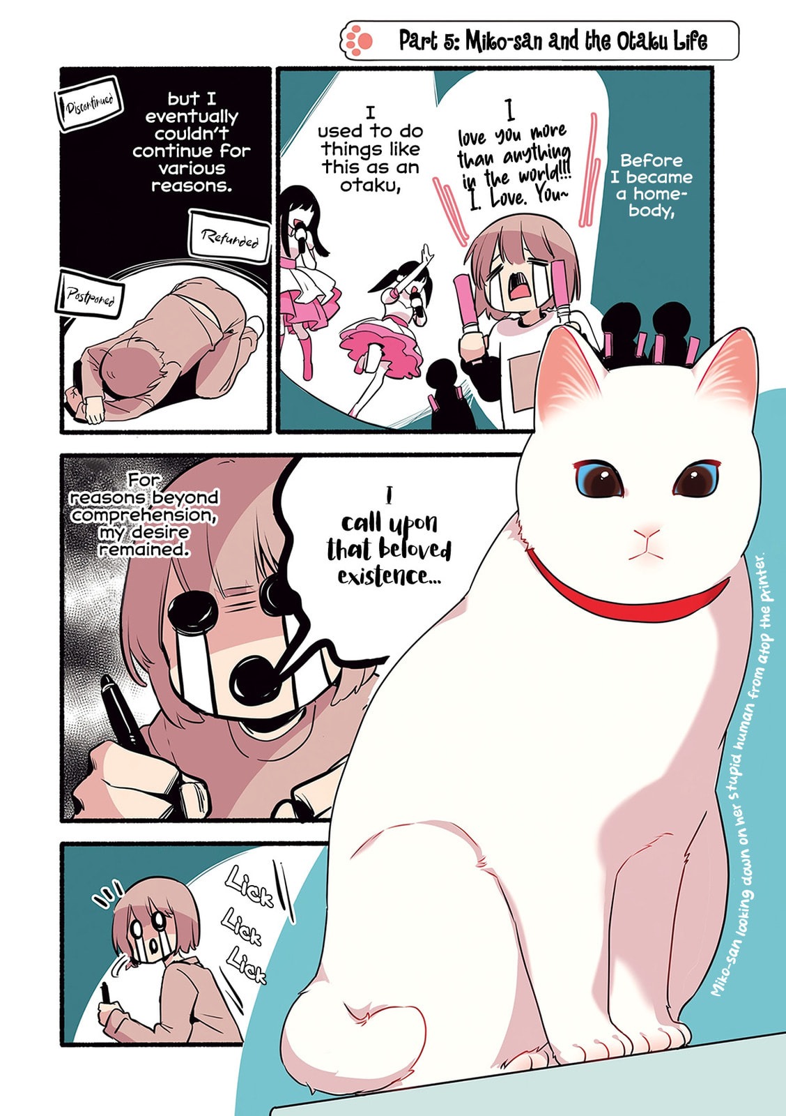 Miko, A White Cat That Wants To Be Loved