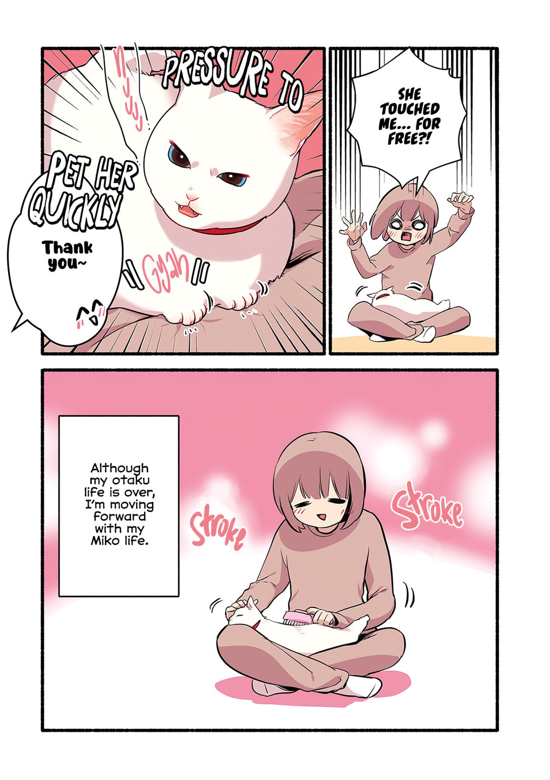 Miko, A White Cat That Wants To Be Loved