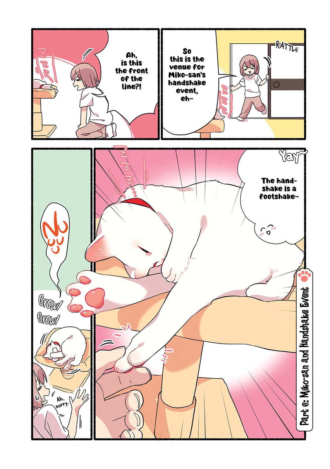 Miko, A White Cat That Wants To Be Loved