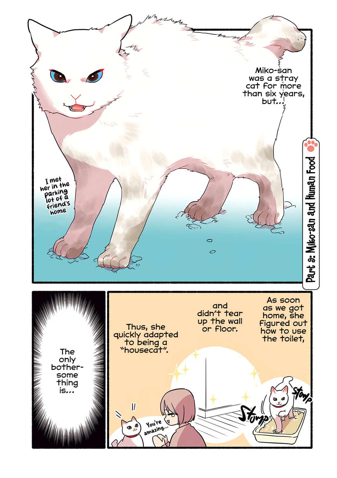 Miko, A White Cat That Wants To Be Loved