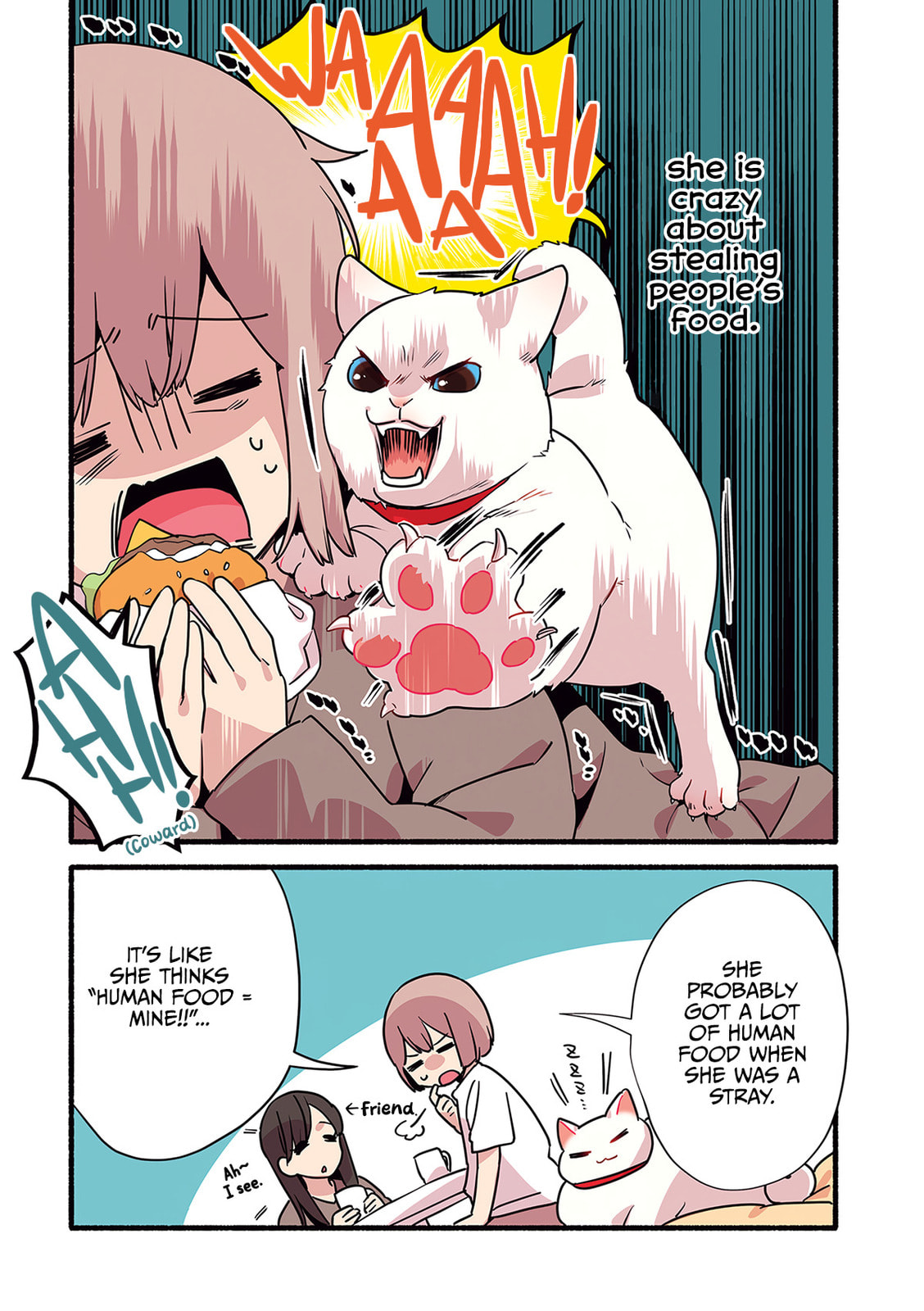 Miko, A White Cat That Wants To Be Loved