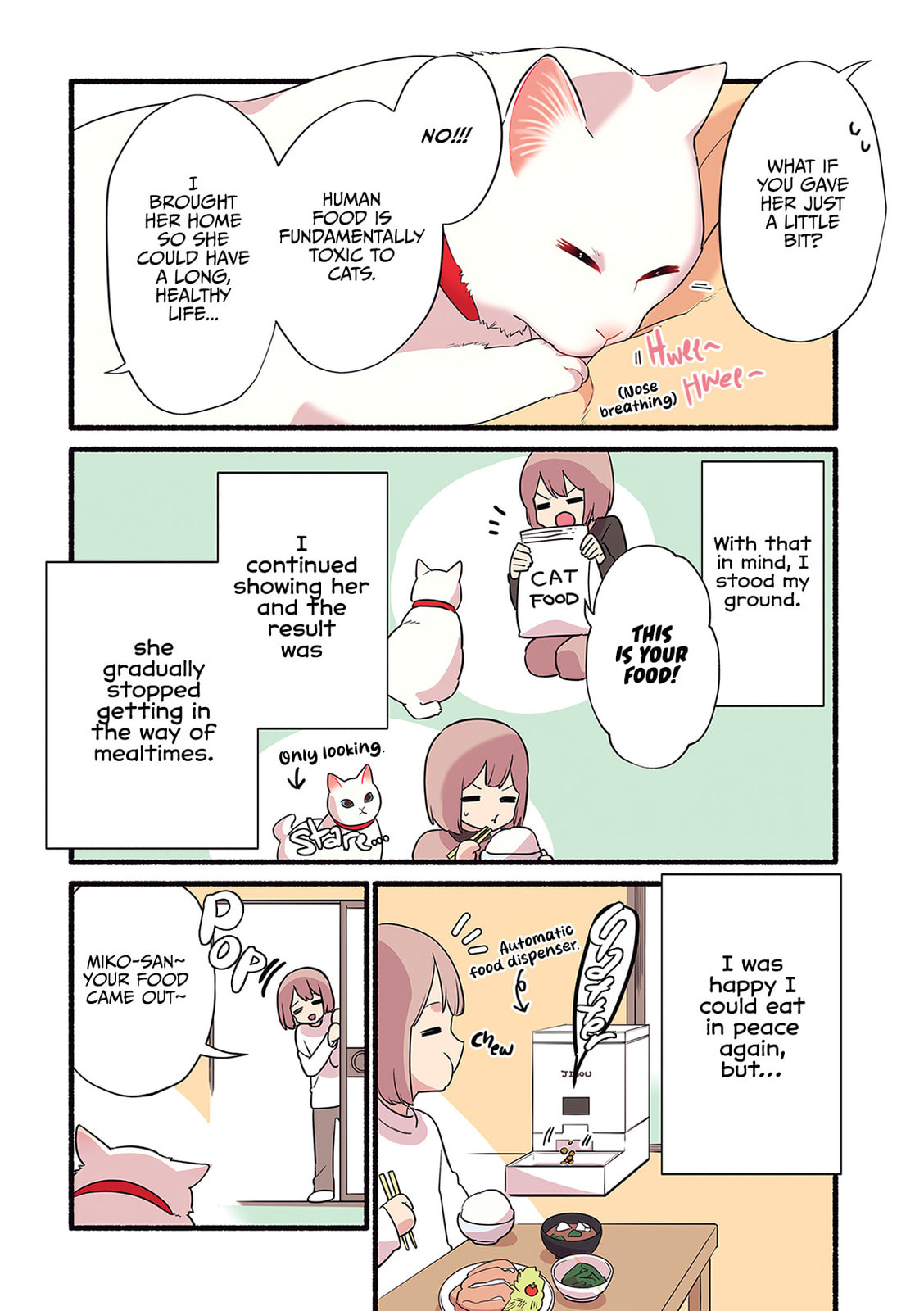 Miko, A White Cat That Wants To Be Loved