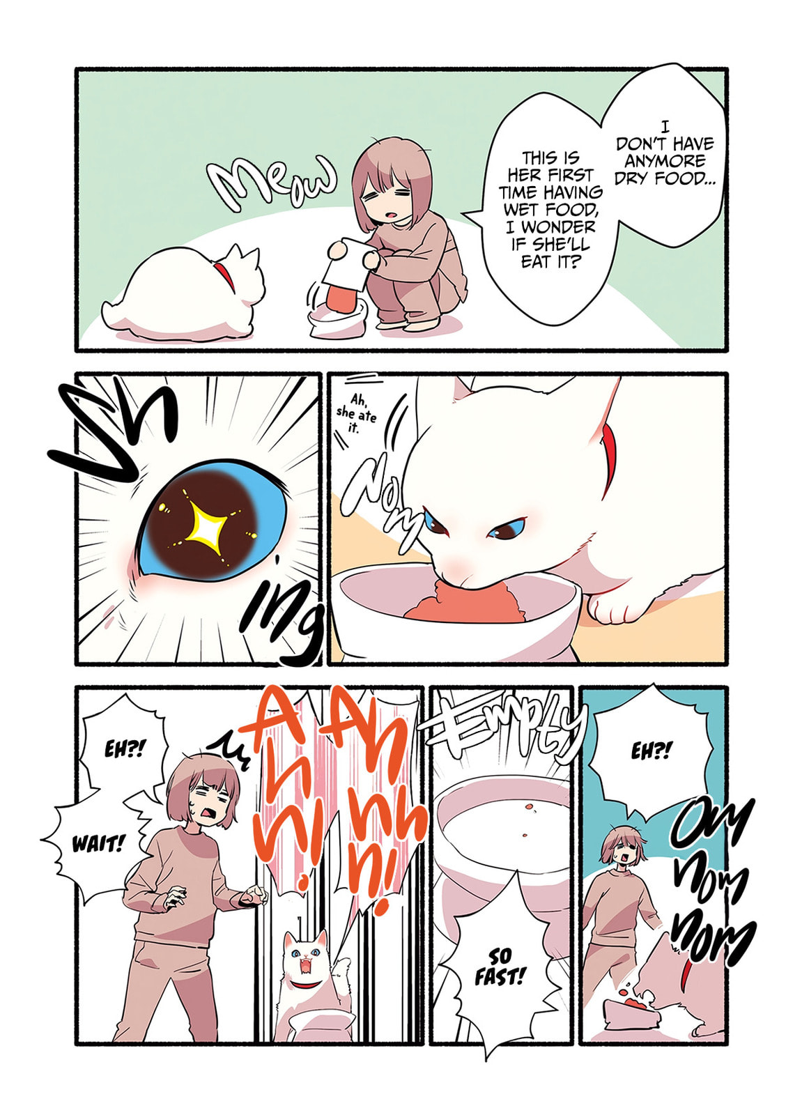 Miko, A White Cat That Wants To Be Loved