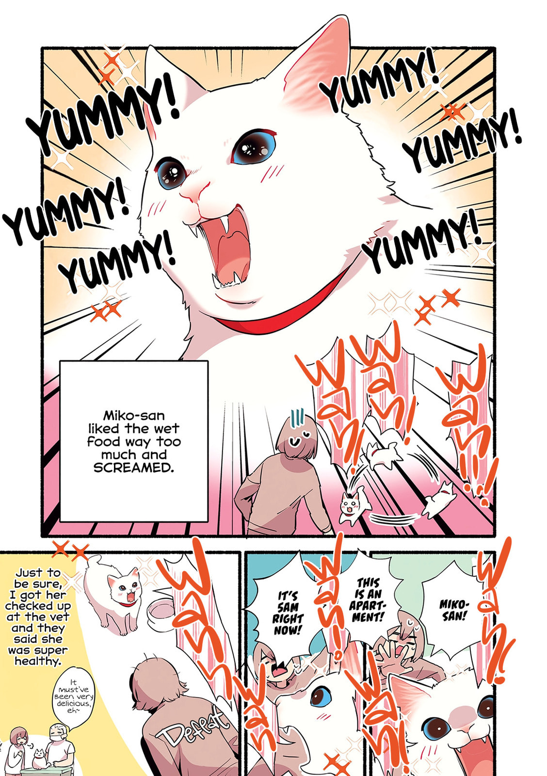 Miko, A White Cat That Wants To Be Loved