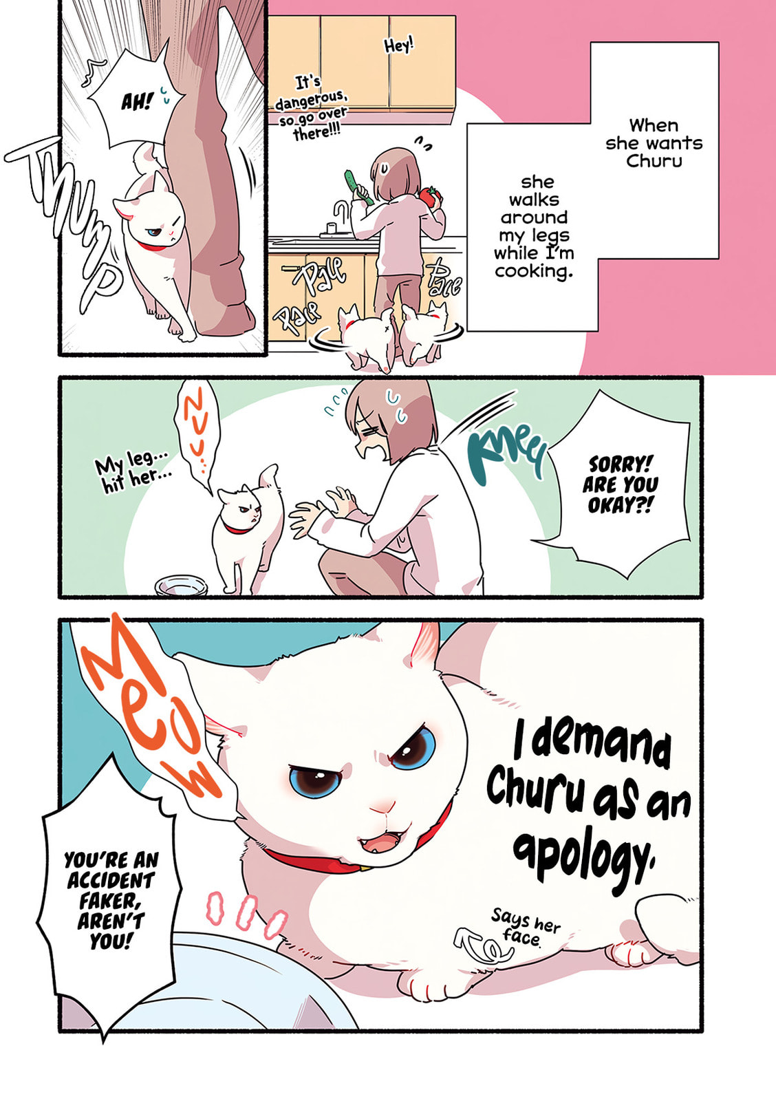 Miko, A White Cat That Wants To Be Loved