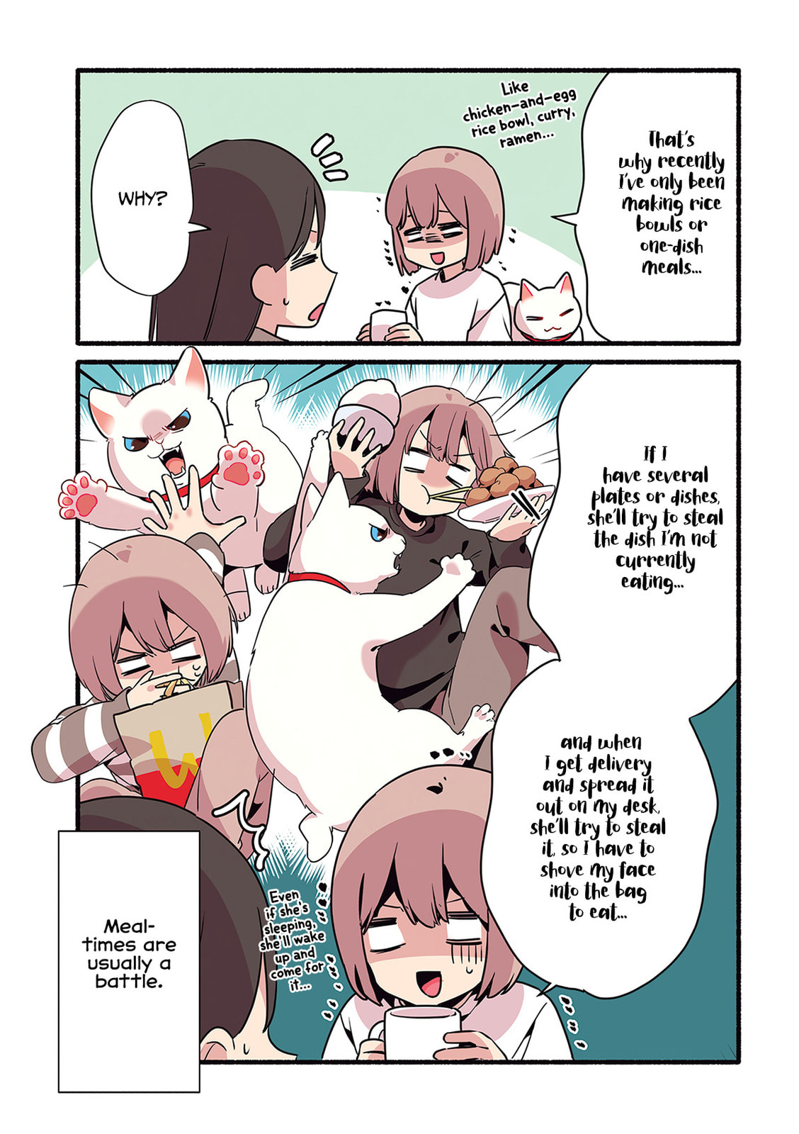 Miko, A White Cat That Wants To Be Loved