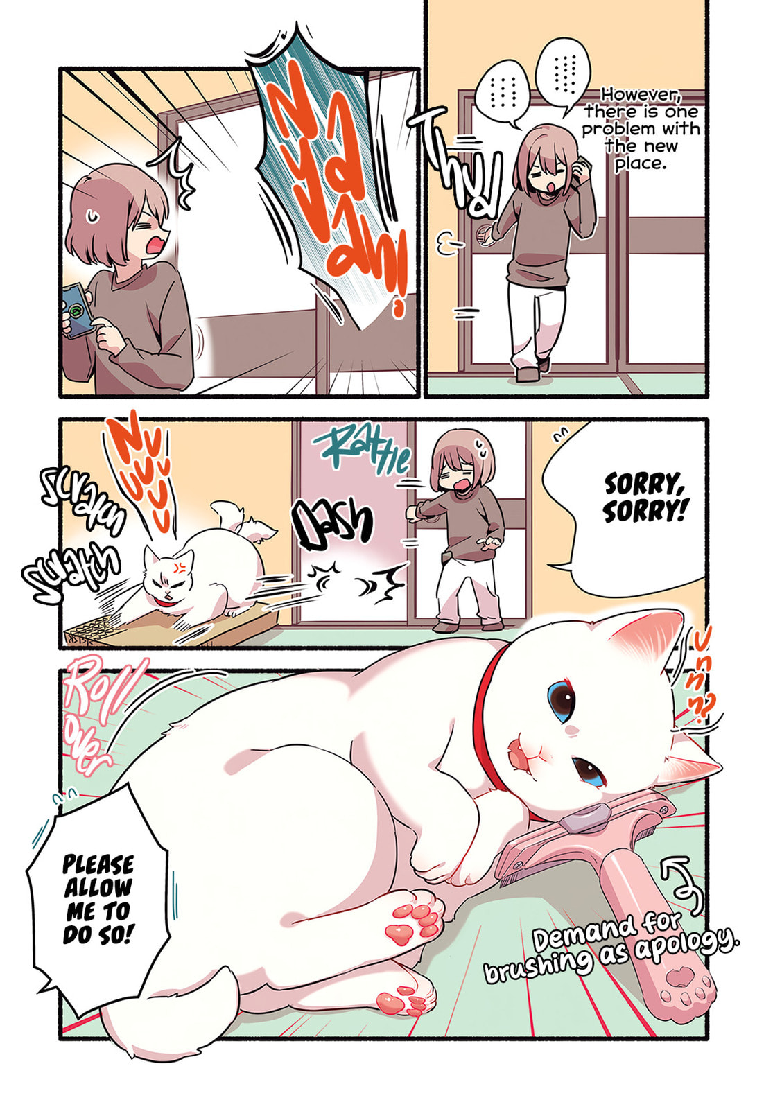 Miko, A White Cat That Wants To Be Loved