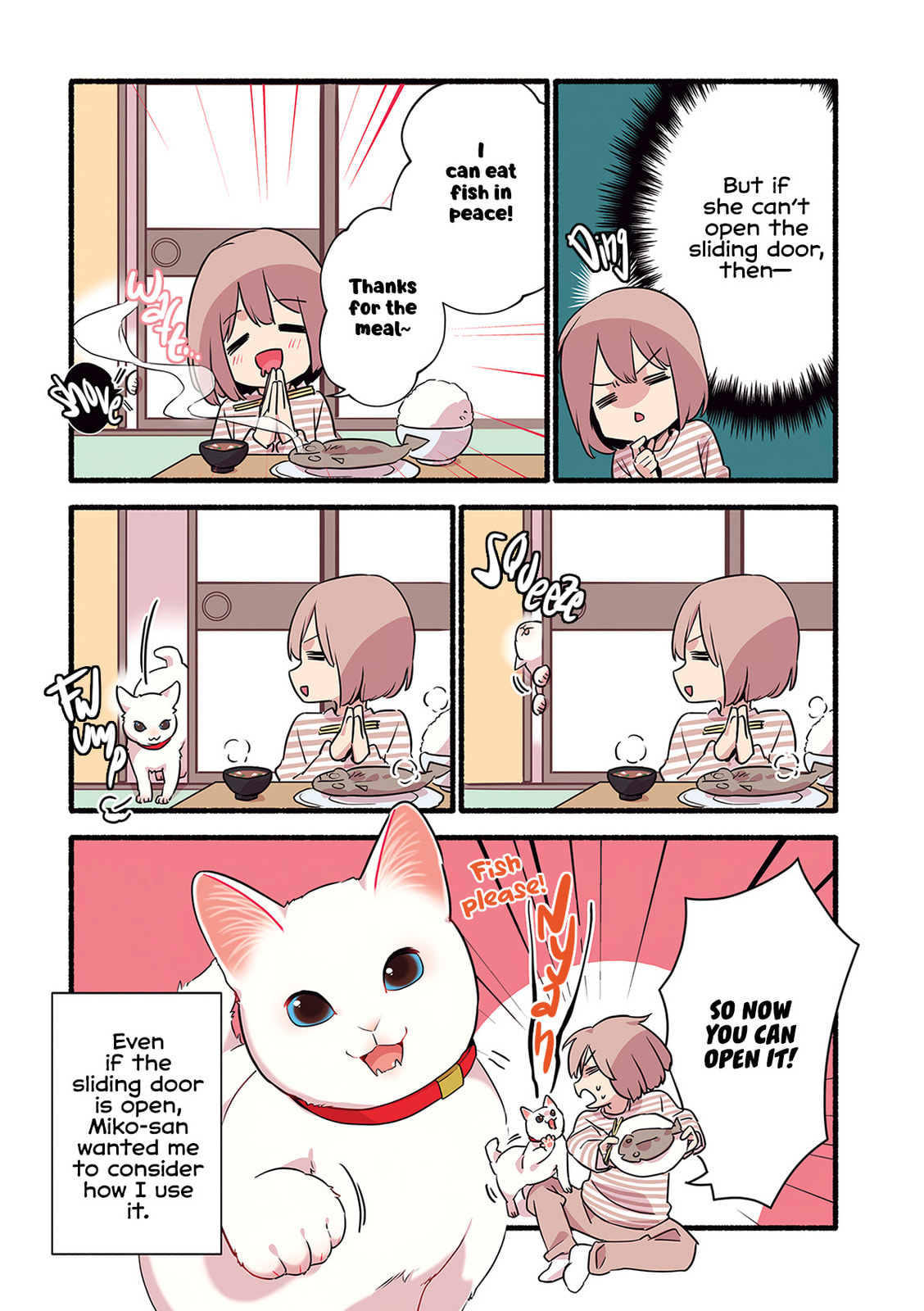 Miko, A White Cat That Wants To Be Loved