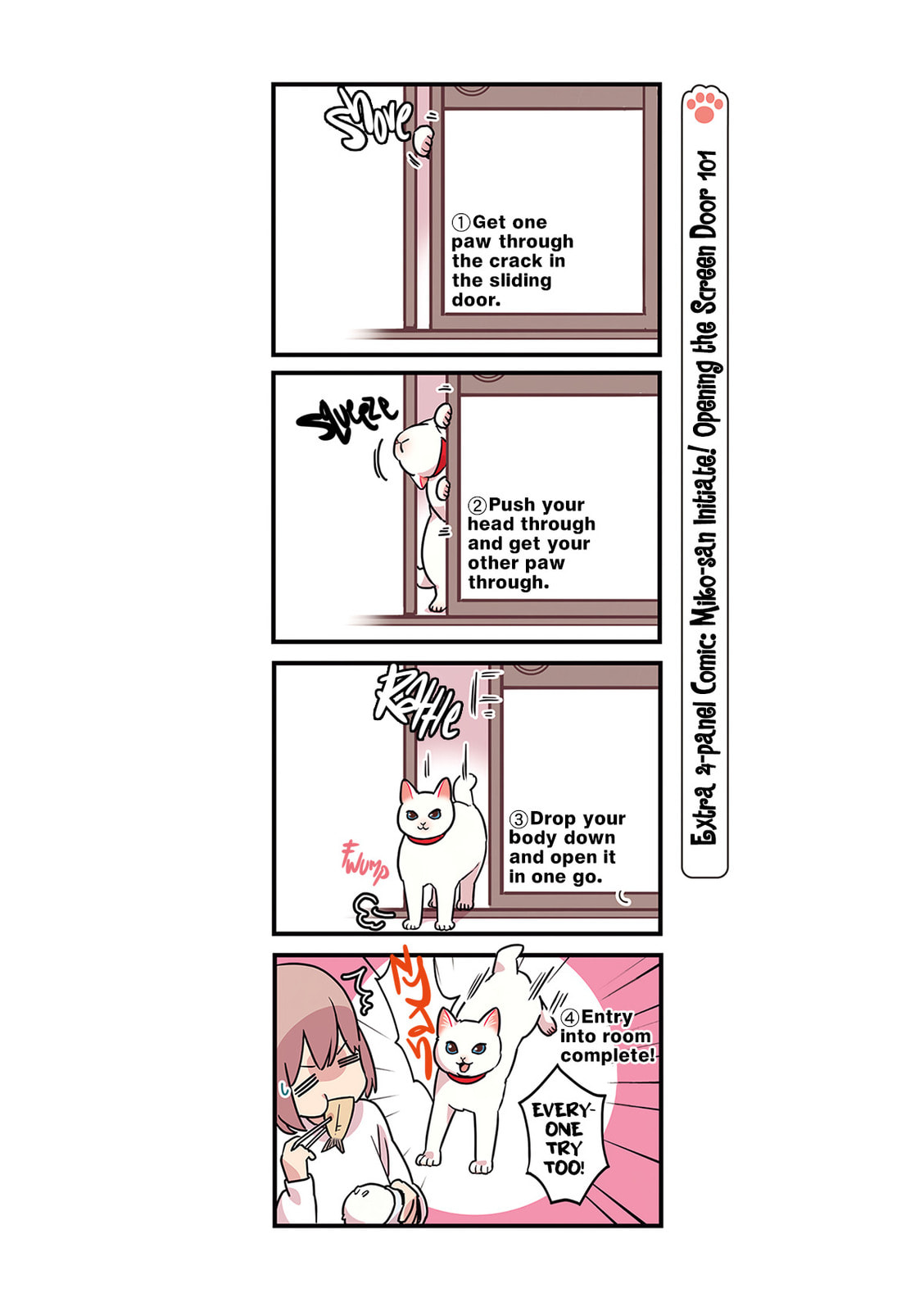 Miko, A White Cat That Wants To Be Loved