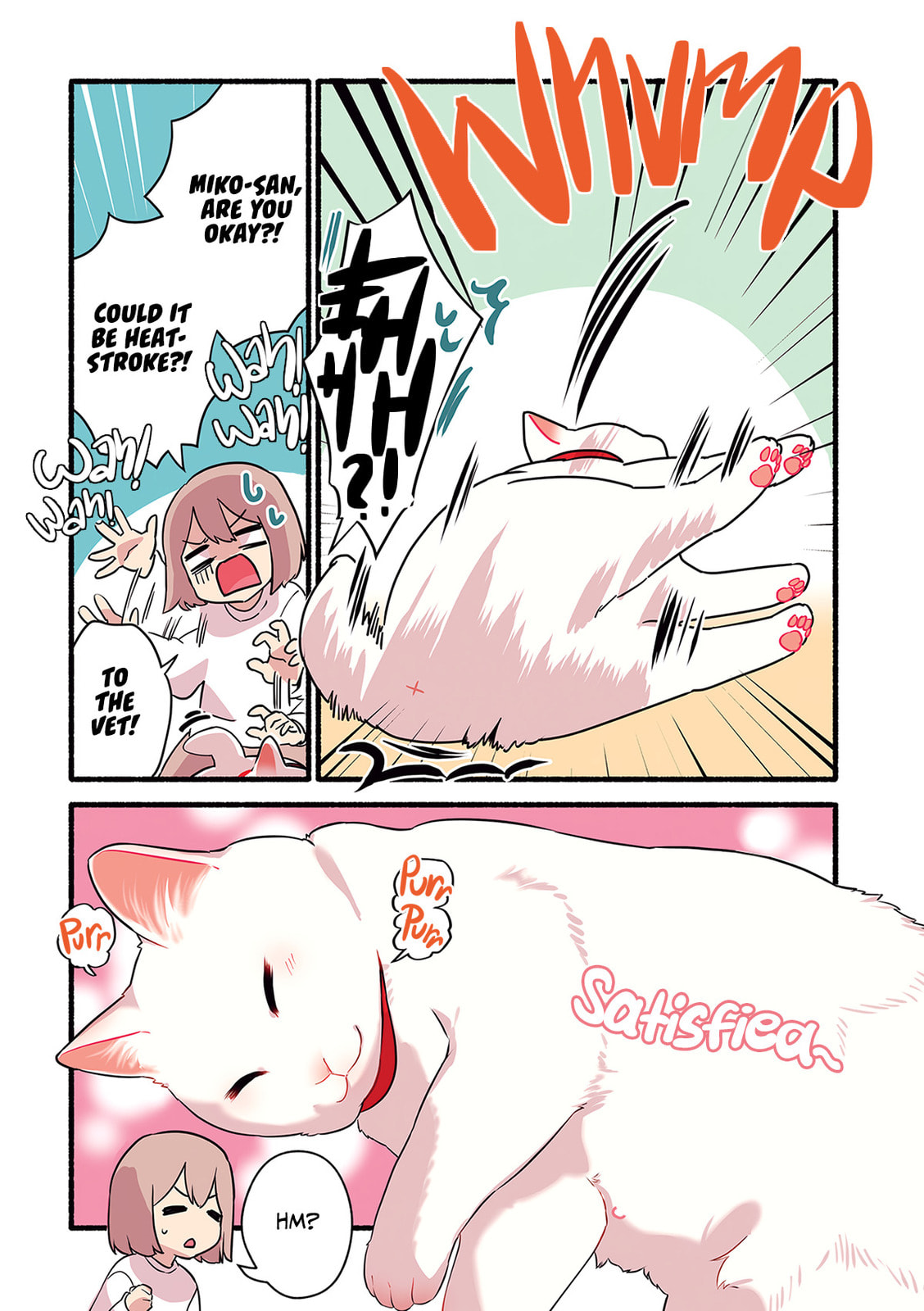 Miko, A White Cat That Wants To Be Loved