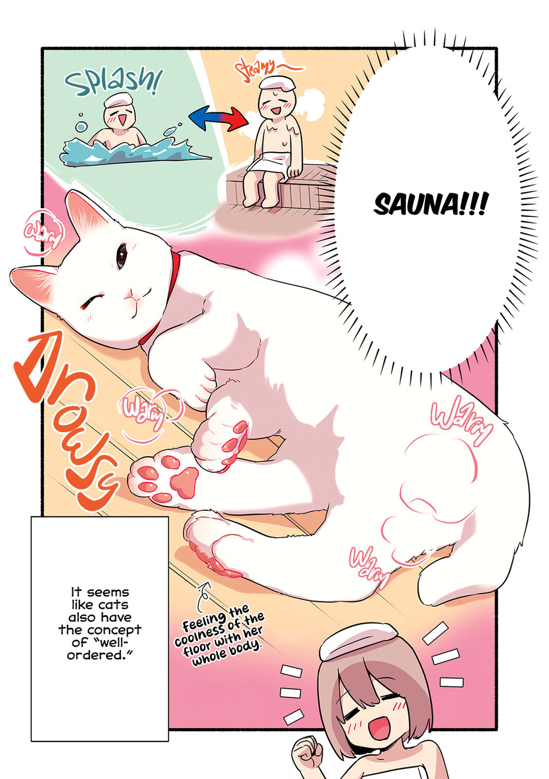 Miko, A White Cat That Wants To Be Loved