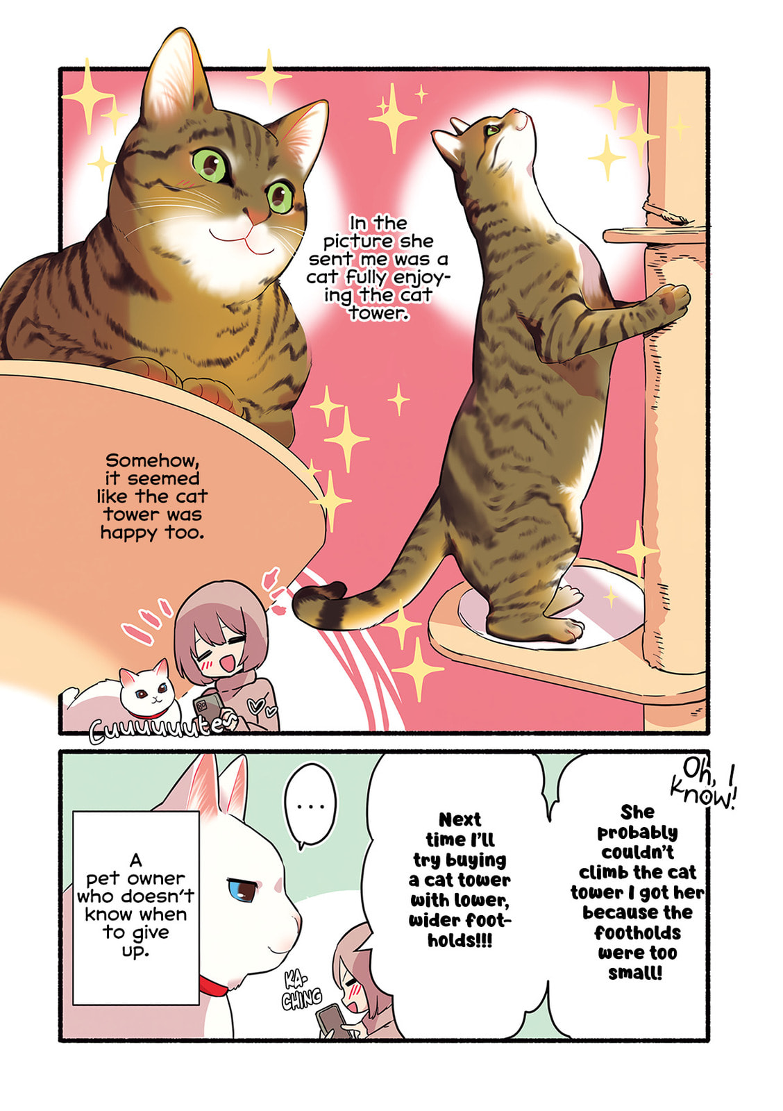 Miko, A White Cat That Wants To Be Loved