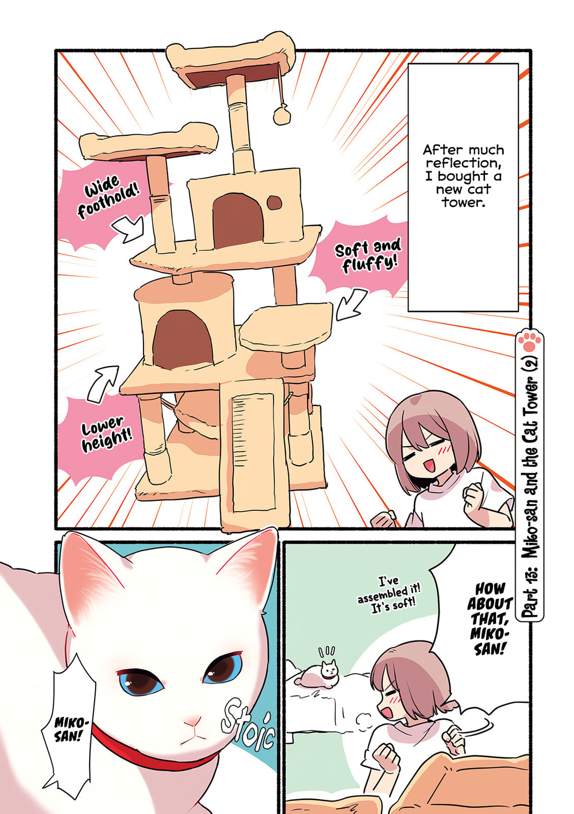 Miko, A White Cat That Wants To Be Loved