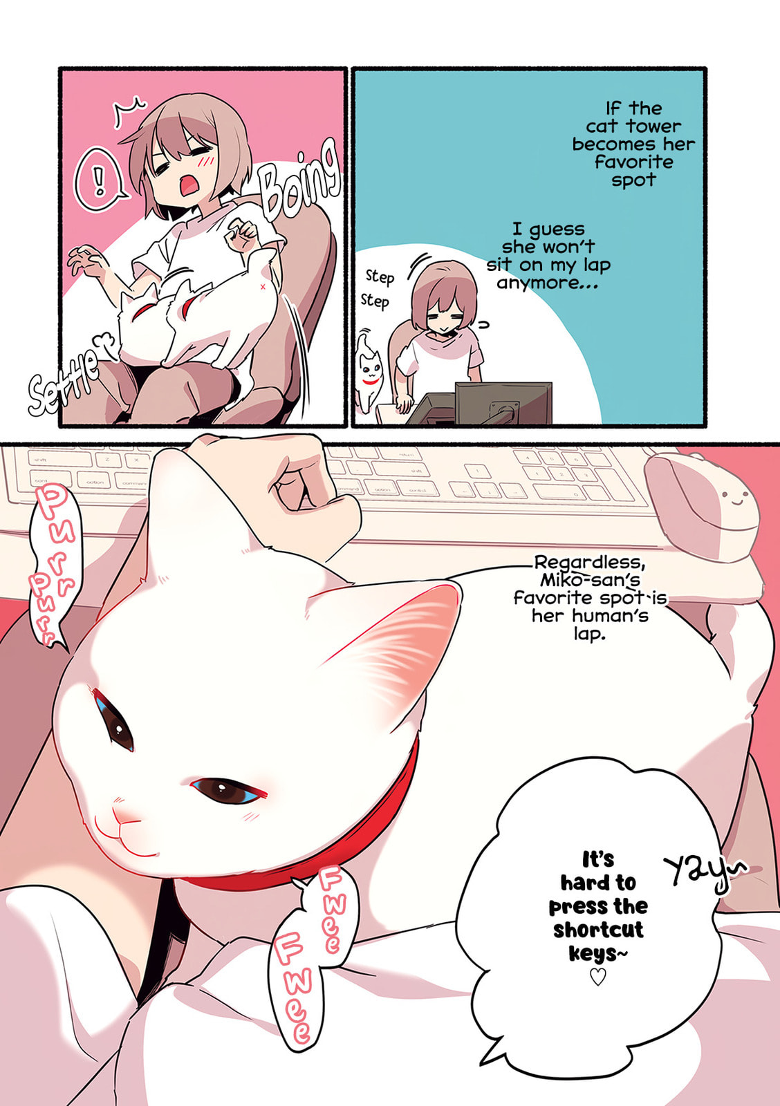 Miko, A White Cat That Wants To Be Loved