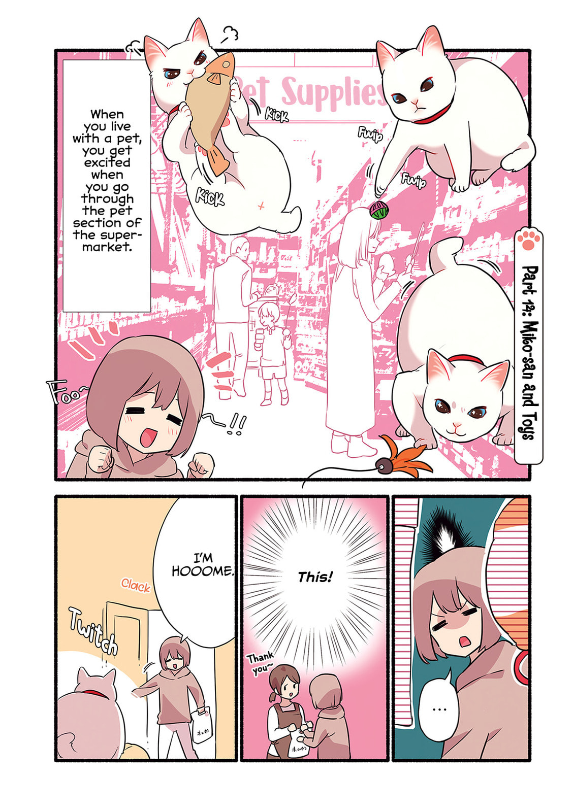 Miko, A White Cat That Wants To Be Loved