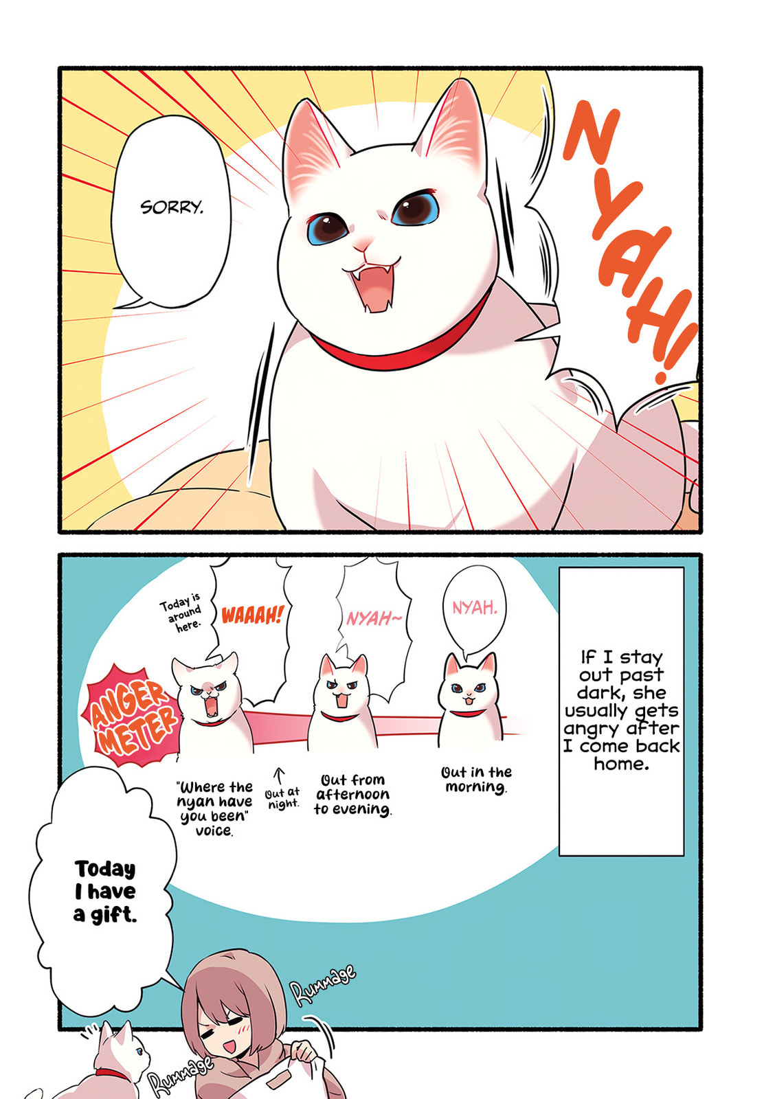 Miko, A White Cat That Wants To Be Loved