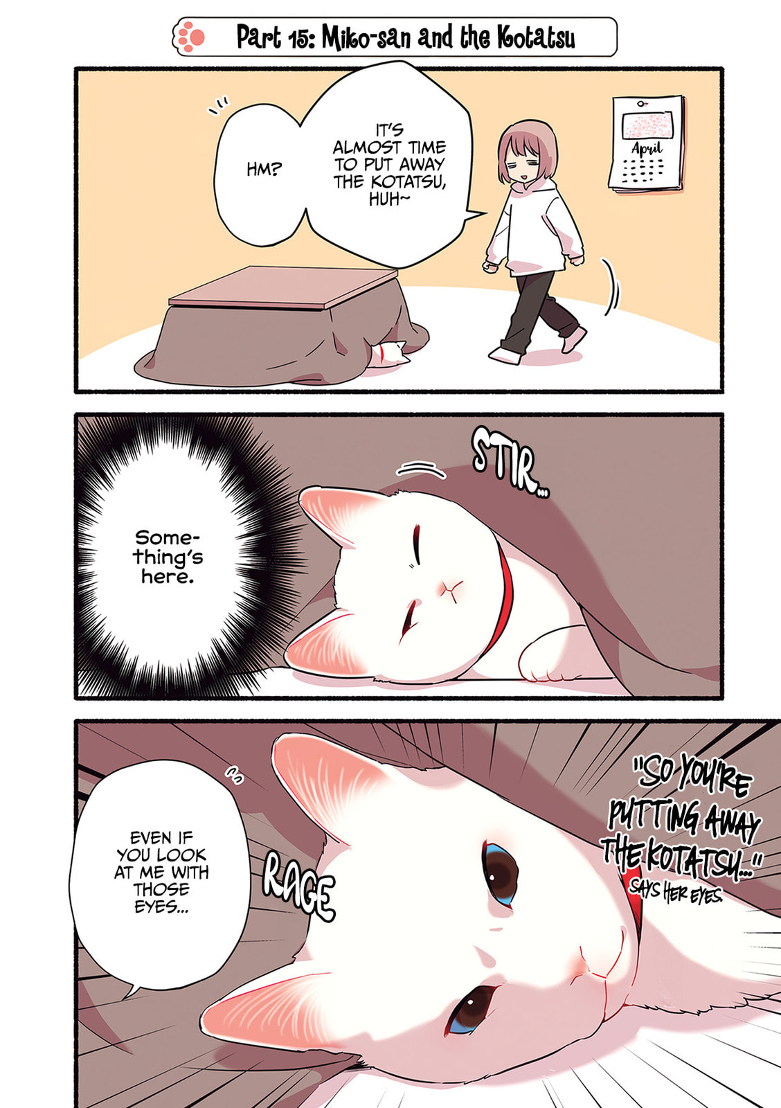 Miko, A White Cat That Wants To Be Loved