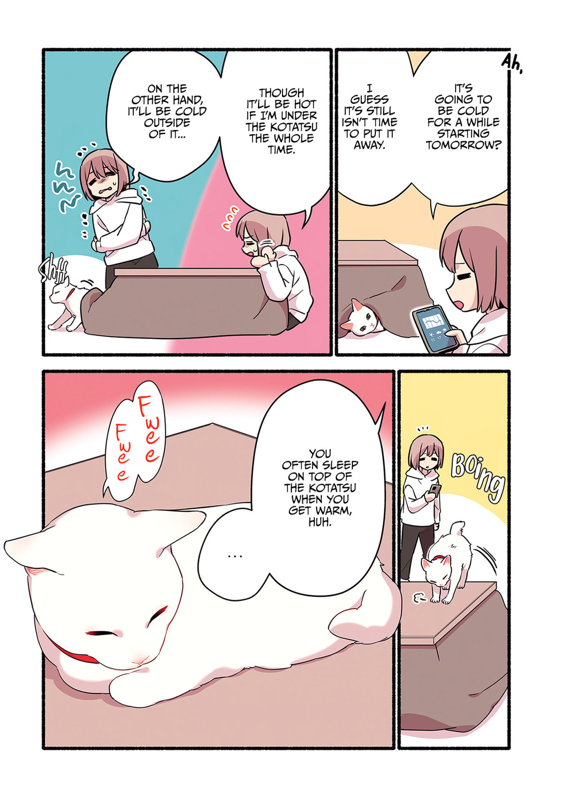 Miko, A White Cat That Wants To Be Loved