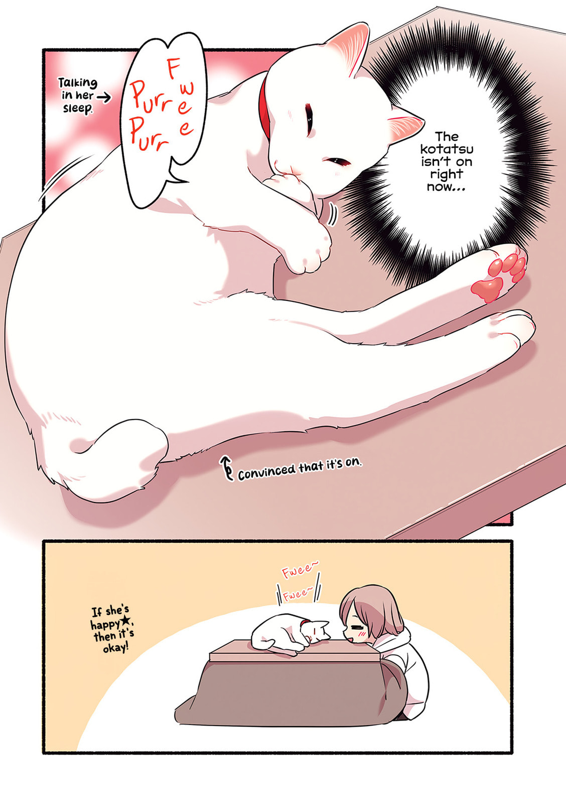 Miko, A White Cat That Wants To Be Loved