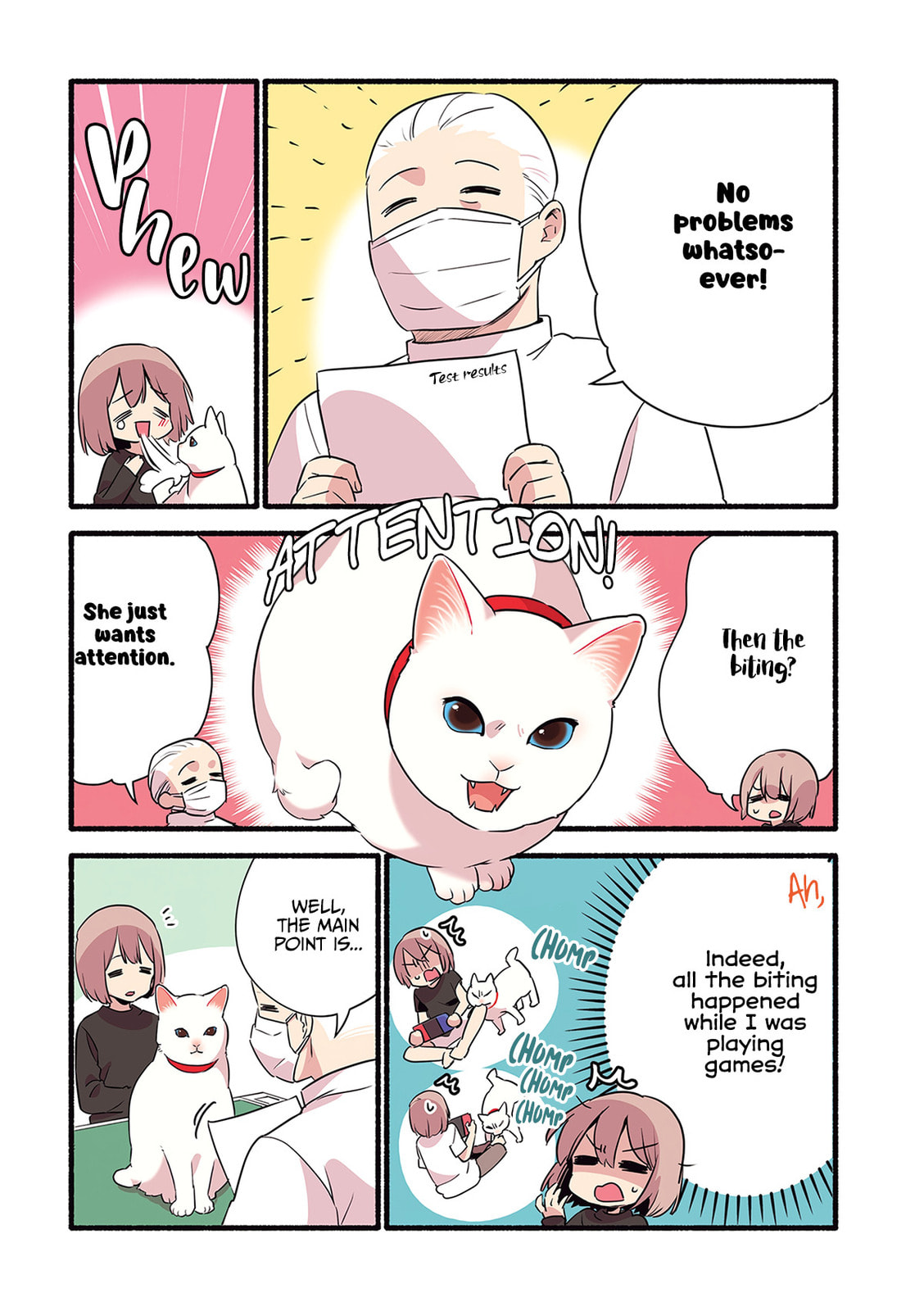 Miko, A White Cat That Wants To Be Loved