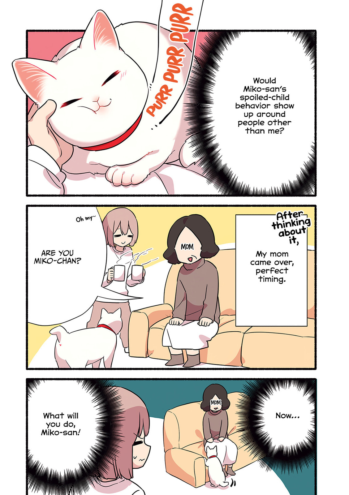 Miko, A White Cat That Wants To Be Loved