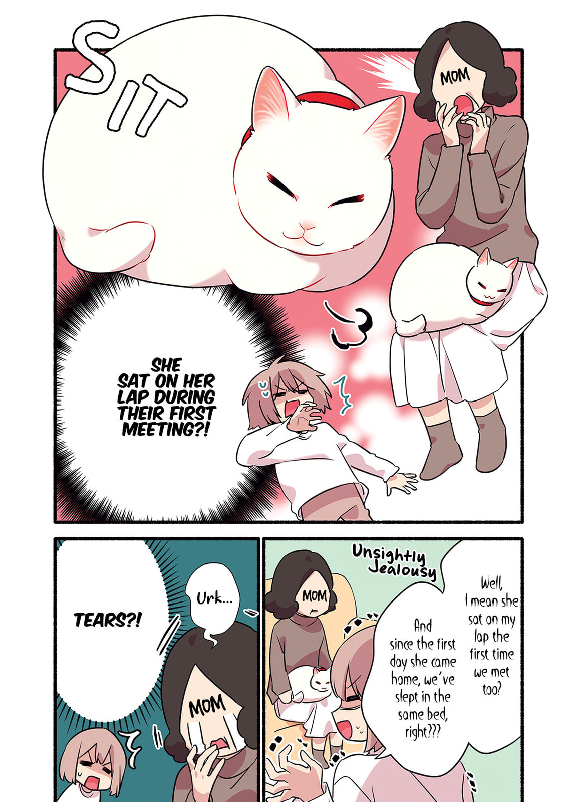 Miko, A White Cat That Wants To Be Loved