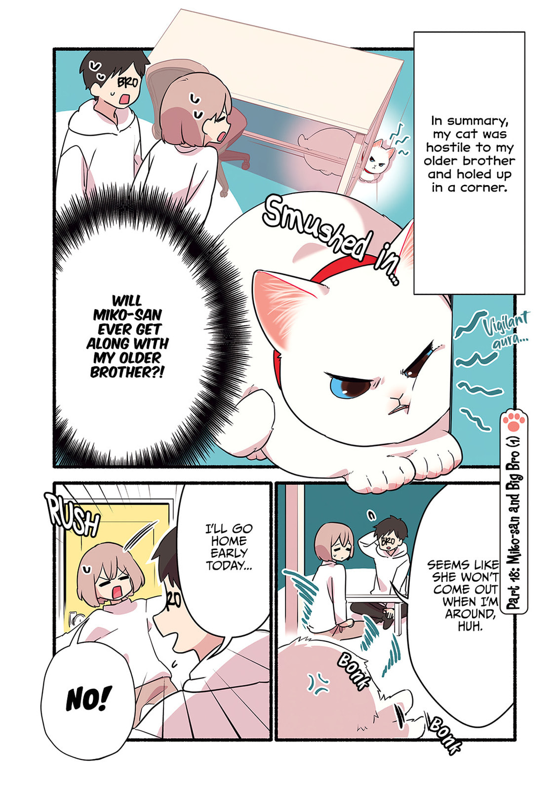 Miko, A White Cat That Wants To Be Loved