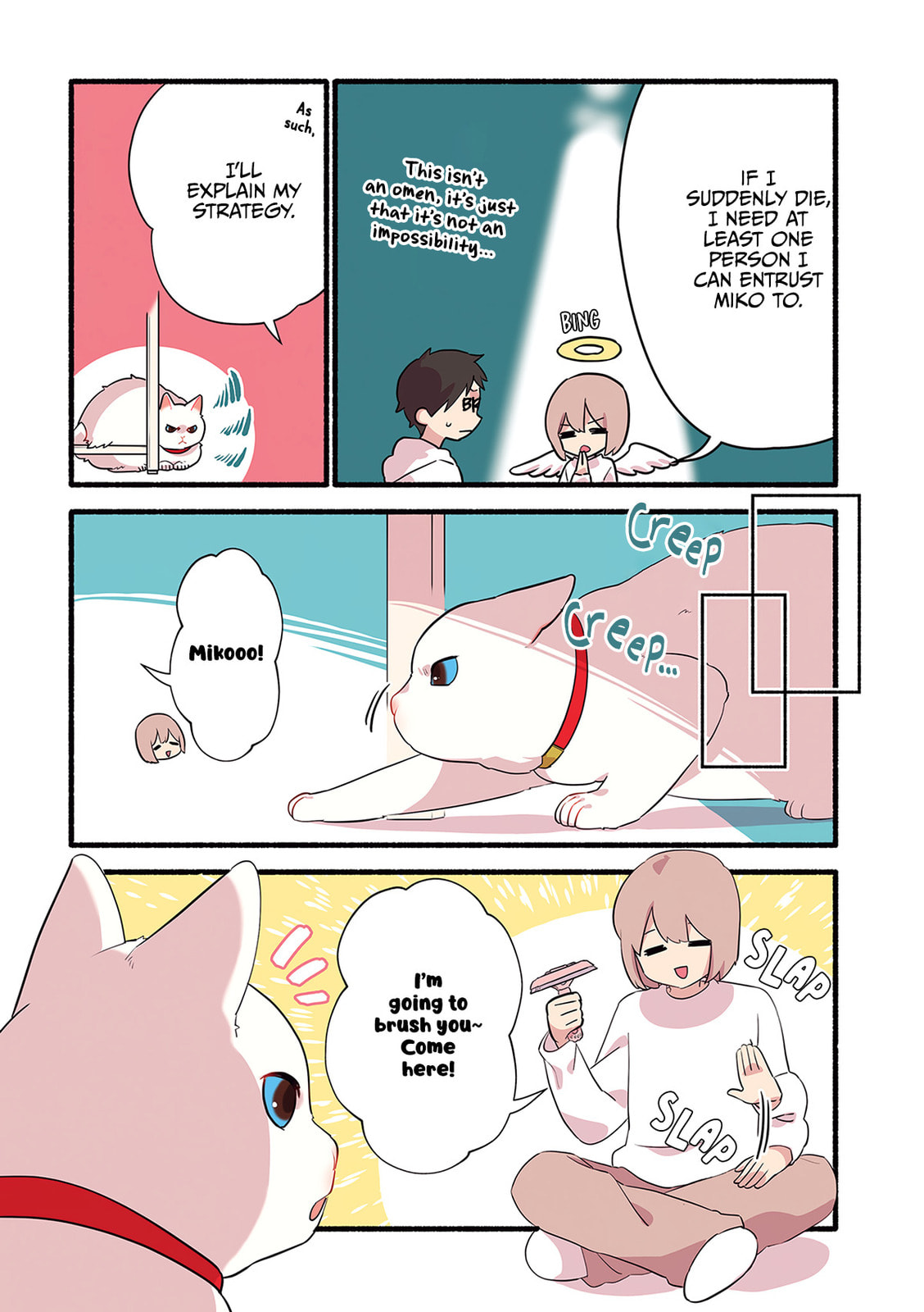 Miko, A White Cat That Wants To Be Loved