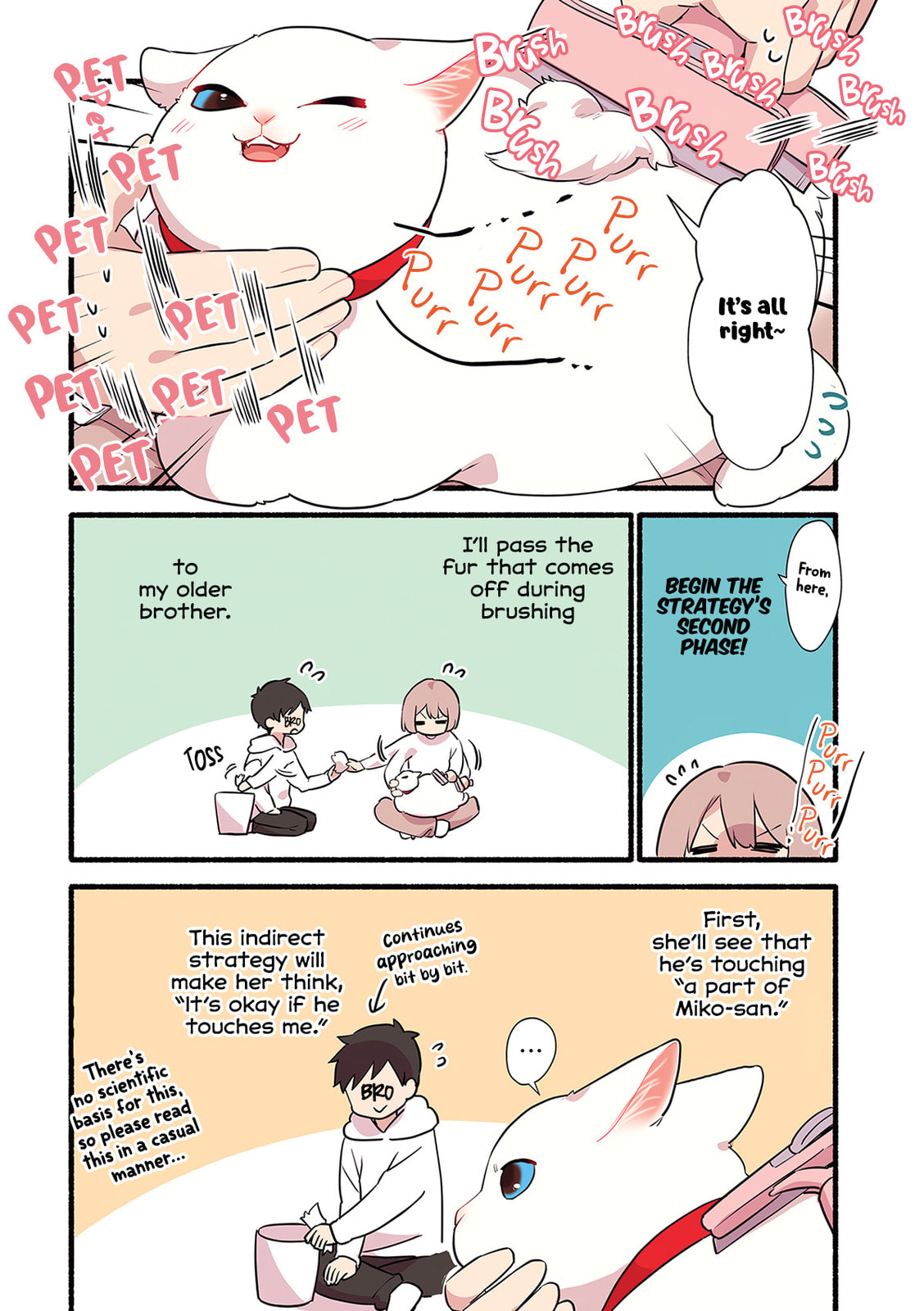 Miko, A White Cat That Wants To Be Loved