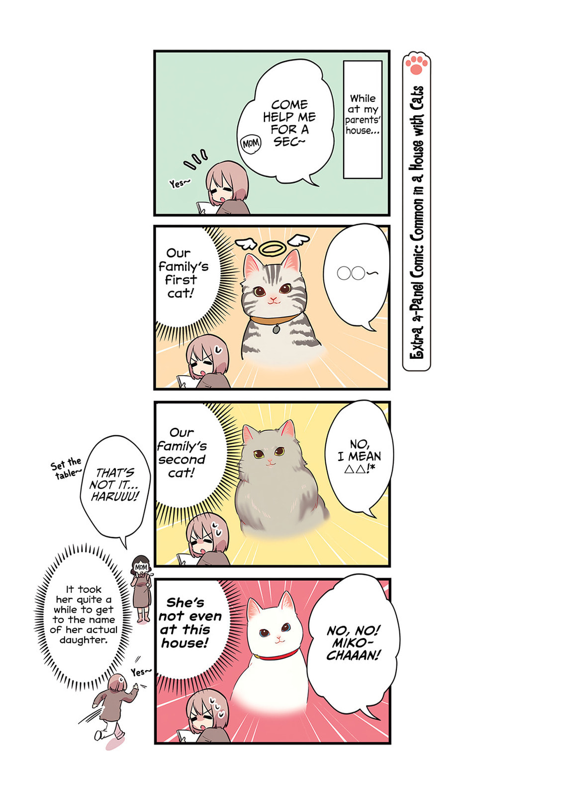 Miko, A White Cat That Wants To Be Loved