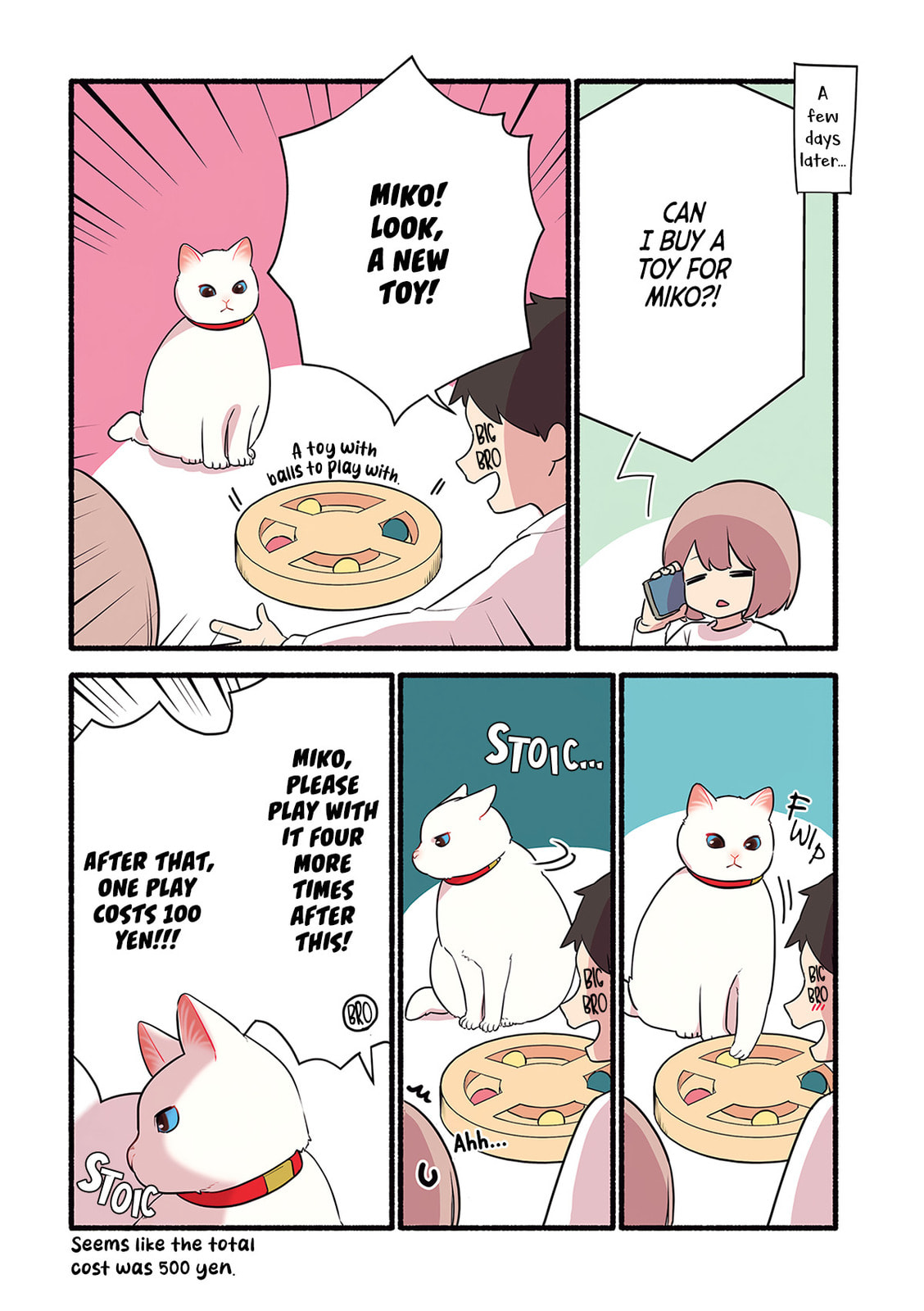 Miko, A White Cat That Wants To Be Loved