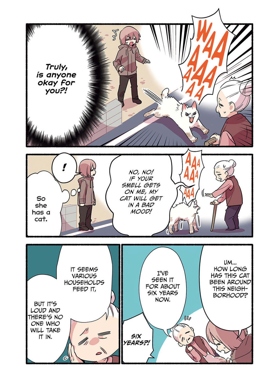 Miko, A White Cat That Wants To Be Loved