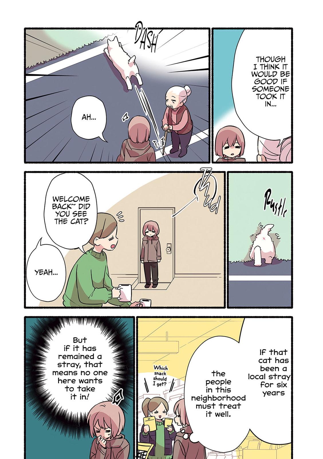 Miko, A White Cat That Wants To Be Loved