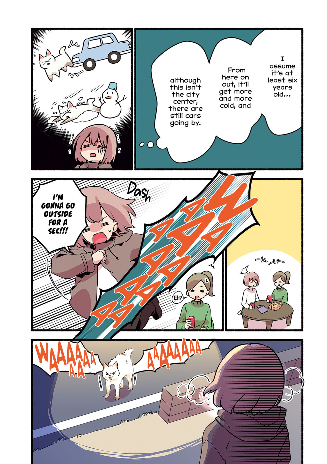 Miko, A White Cat That Wants To Be Loved