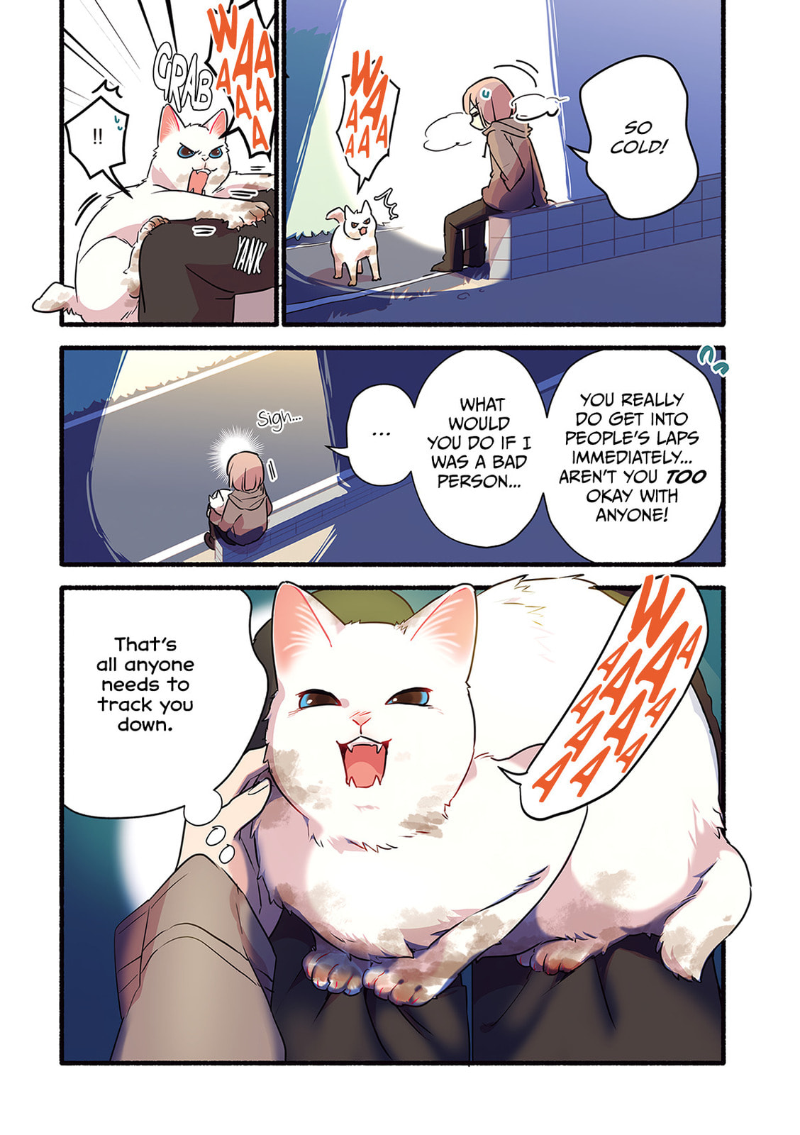 Miko, A White Cat That Wants To Be Loved