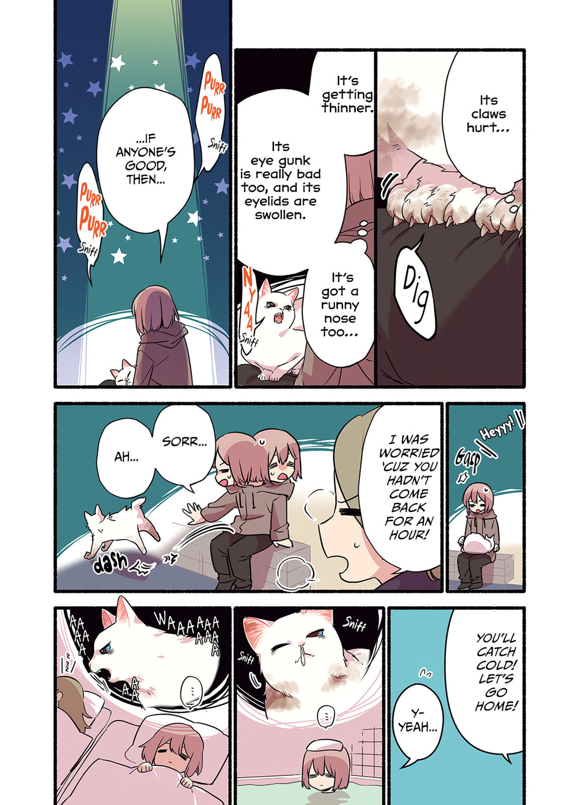 Miko, A White Cat That Wants To Be Loved