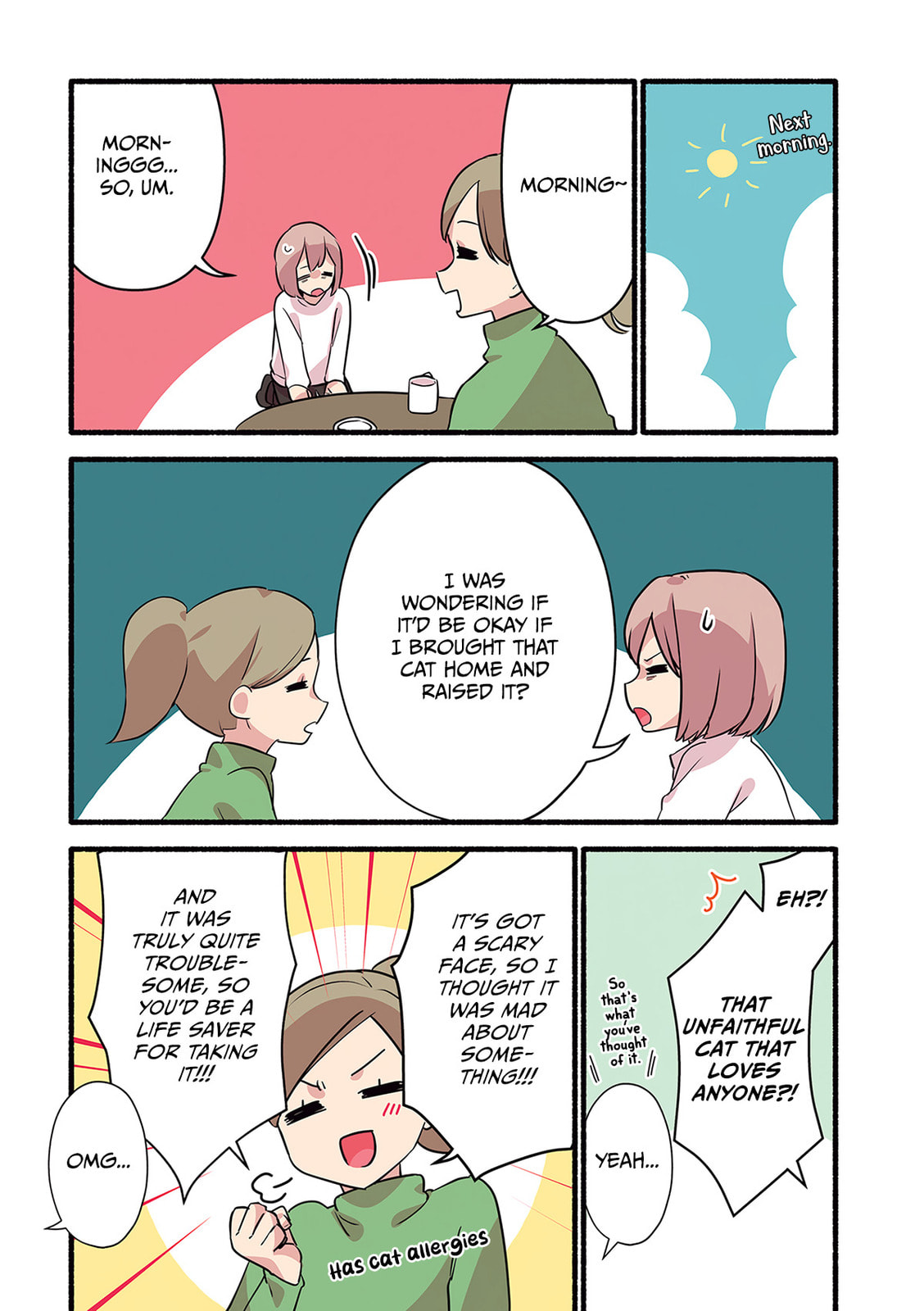 Miko, A White Cat That Wants To Be Loved