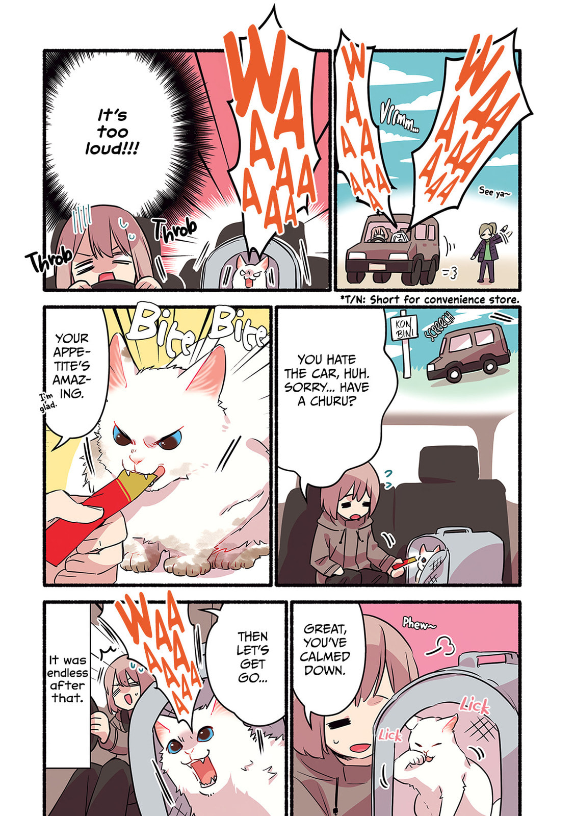 Miko, A White Cat That Wants To Be Loved