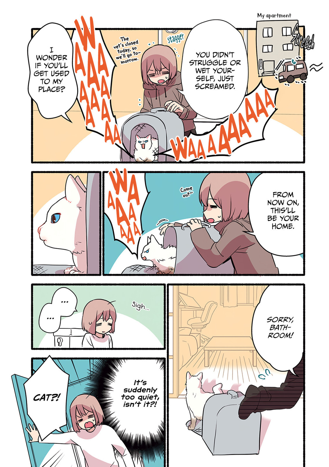 Miko, A White Cat That Wants To Be Loved