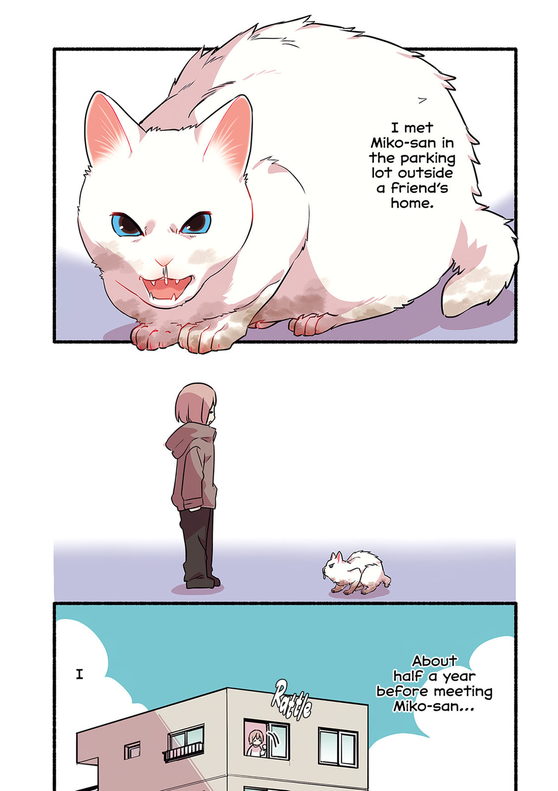 Miko, A White Cat That Wants To Be Loved